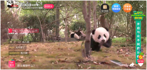 1584065912340381.png 3.png